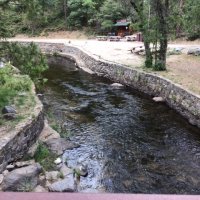 staff bridge